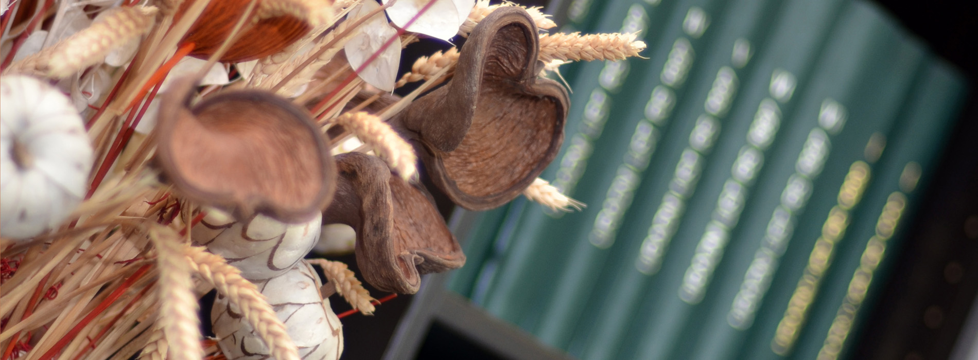 Odvetniška pisarna Cek photo